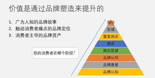 移動互聯(lián)網(wǎng)時代品牌建設與營銷戰(zhàn)略——以互聯(lián)網(wǎng)銷售為核心