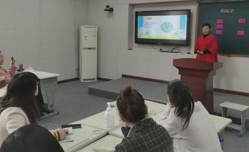 新縣箭廠河鄉(xiāng)中心學校成功舉辦小學第二教研協(xié)作區(qū)青年教師微課展示活動